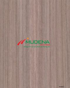 Màu film PVC Mudena vân gỗ : MG68217 